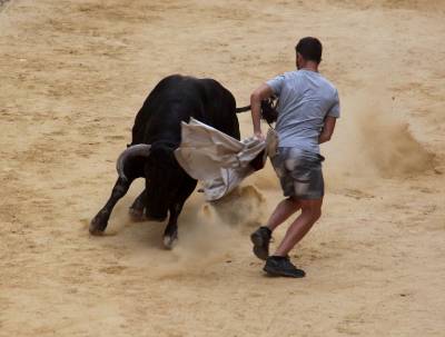 Sant Roc està de festa