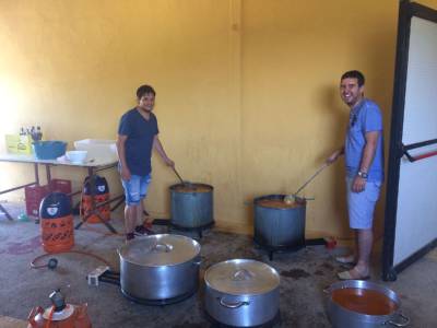 Gastronomia, activitats infantils i bous protagonistes de les festes de Sant Bartomeu a La Torre d'en Besora