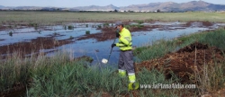 nules-supervisa-las-zonas-inundables-para-prevenir-focos-de-mosquitos