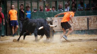 Albocàsser encara la recta final dels seus festejos