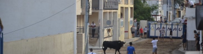 Última jornada taurina de las fiestas de Sant Roc en la Playa de Moncofa