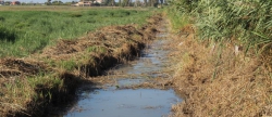 102-treballadors-agraris-es-beneficien-de-les-ajudes-de-l-atur-agrari