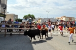 Los aficionados taurinos de la provincia disfrutaron en Vall d?Alba de un emocionante encierro de seis toros cerriles