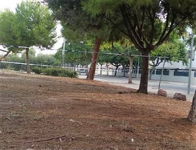 Nuevas actuaciones contra la proliferación de mosquitos en Borriana tras las lluvias del sábado