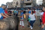 Els bous de les penyes protagonistes en les festes d'Almenara