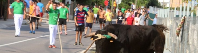 L'Associació de Veïns de Santa Bàrbara demana al ple suport institucional per al 'bou en corda'