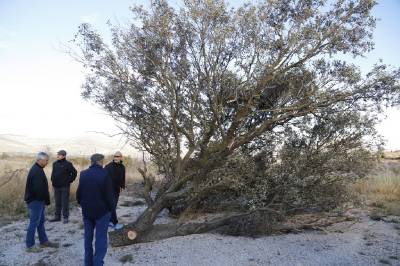 Les Rossegades emocionen a Albocàsser
