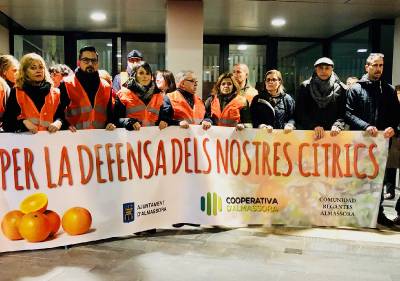 Manifestación en defensa de la citricultura autóctona