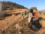 El Grup de Senderisme del Club Xtrem d'Almenara realitza una jornada de neteja de les muntanyes locals