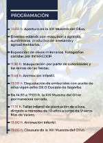 El sábado 19 de octubre se celebra la XIII Muestra Agrícola del Olivo en Segorbe