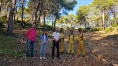Oropesa del Mar 'limpia' seis hectáreas de zona forestal como medida de prevención de incendios
