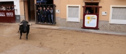 la-sagrada-familia-possa-el-punt-i-final-a-les-festes-amb-bous