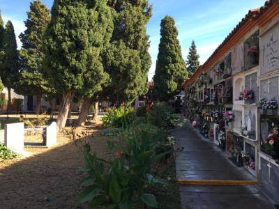 Les Coves de Vinromà pone a punto el cementerio para la festividad de Todos los Santos