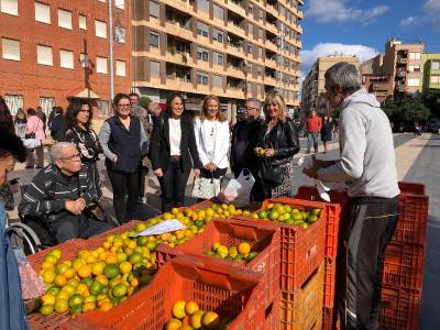 El VIII Mercat de la Taronja abre para activar la compra directa de cítricos de Almassora