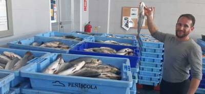 Capturan 1.200 kg de Corvina