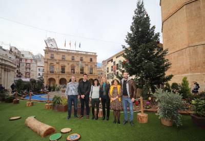 Sis jardins efímers i sostenibles per a la decoració nadalenca de Castelló