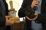 Una trufa negra de 624 gramos gana el concurso de Catí