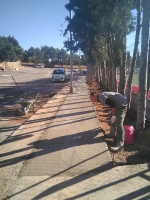 Almenara millora les voreres en el camp de futbol i el carrer Estació