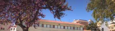 Els xiquets i xiquetes de La Llosa celebren Sant Josep