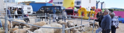 Vall d’Alba reivindica con ‘La Fira’ la importancia de la agricultura y la ganadería en la economía local