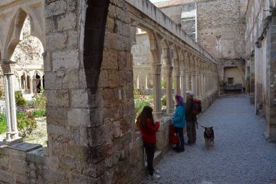 Morella estrena material turístic infantil
