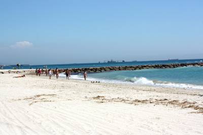 Almassora activa controles policiales para impedir el acceso de perros a la playa en verano