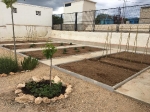 El CEIP l'Albea, con la colaboración del Ayuntamiento de Vall d?Alba y Codiagro, ya dispone de un huerto escolar