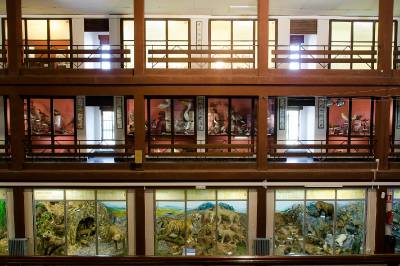 El Museo de Ciencias Naturales el Carmen de Onda va a solicitar la “Q” de calidad turística