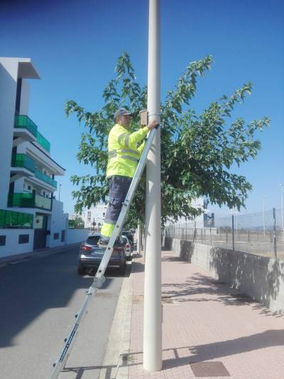 Xilxes complementa las acciones contra los mosquitos con la instalación de cajas nido para los murciélagos