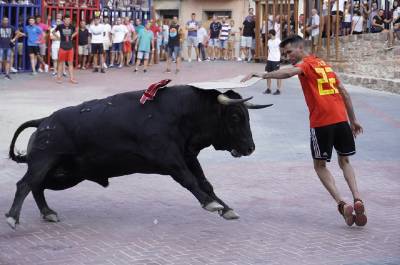 Vilafamés enceta el concurs de ramaderies