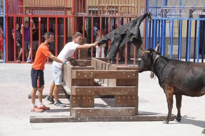 La plaza San Ramn gana el concurso Engalana el teu carrer por segundo ao consecutivo