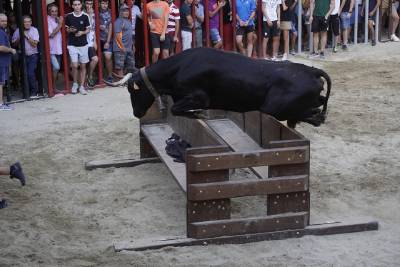Pirotècnia i espectacles taurins per a despedir les festes patronals de Vilafamés