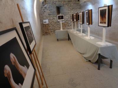 Exposición en la Torre del Rey