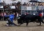 Burriana disfruta de la penúltima jornada taurina, bajo la lluvia
