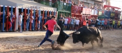 els-bous-i-el-tardeo-omplin-d-ambient-les-festes-de-xilxes