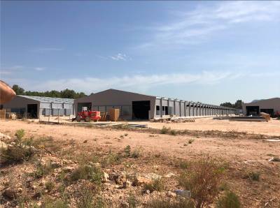 Movilización por una marcrogranja de l'Alcora y otras de la provincia de Castellón