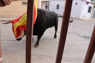 Xilxes despide las fiestas con una elevada participación en los diferentes actos