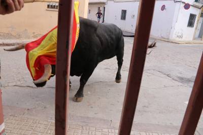 Xilxes acomiada les festes amb una elevada participaci en els diferents actes