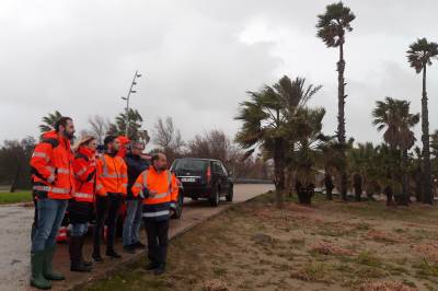 Castelló remet al Govern l'informe de danys del temporal Gloria per a optar a les ajudes