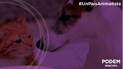 Podem Moncofa apuesta por el bienestar animal en los presupuestos municipales