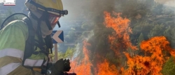 Arden 350 hectreas en un incendio forestal en Les Useres