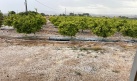 La primera tormenta de granizo del ao causa daos en zonas aisladas de la Hoya de Buol