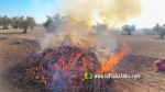Agricultura ampla el periodo de quemas agrcolas hasta el 16 de junio