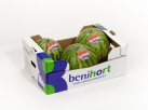 Benihort reduce casi a la mitad su produccin de sanda por el clima