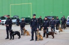 Unitats canines policials de tota Espanya es reuneixen a Onda per jornada de detecci de substncies