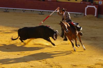 Corrida de rejones