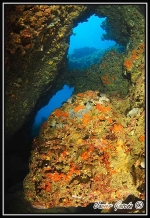 Fotografia /Gallery/18234_10201/2_M1.jpg