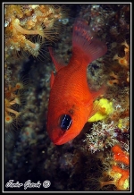 Fotografia /Gallery/18234_10201/5_M1.jpg