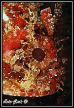 Fotografia /Gallery/18234_10201/6_M1.jpg