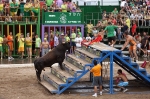 Monetario, de José Vicente Machancoses, mejor toro del concurso.